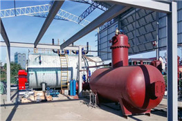 柬埔寨食品厂15吨燃气锅炉饮料厂项目
